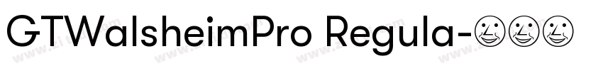 GTWalsheimPro Regula字体转换 GTWalsheimPro Regula字体转换
